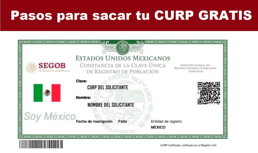Consigue tu CURP en Línea al Instante: Sin Esperar y Sin Costo