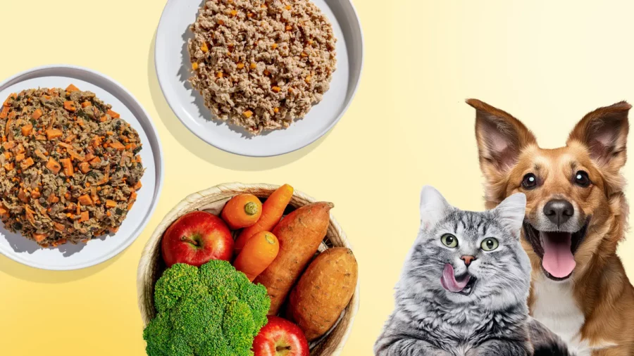 🐾 The Ultimate Guide to Free Samples for Dogs and Cats