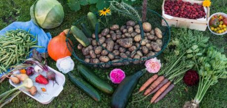 Cultive Seus Próprios Alimentos Mesmo Com Pouco Espaço